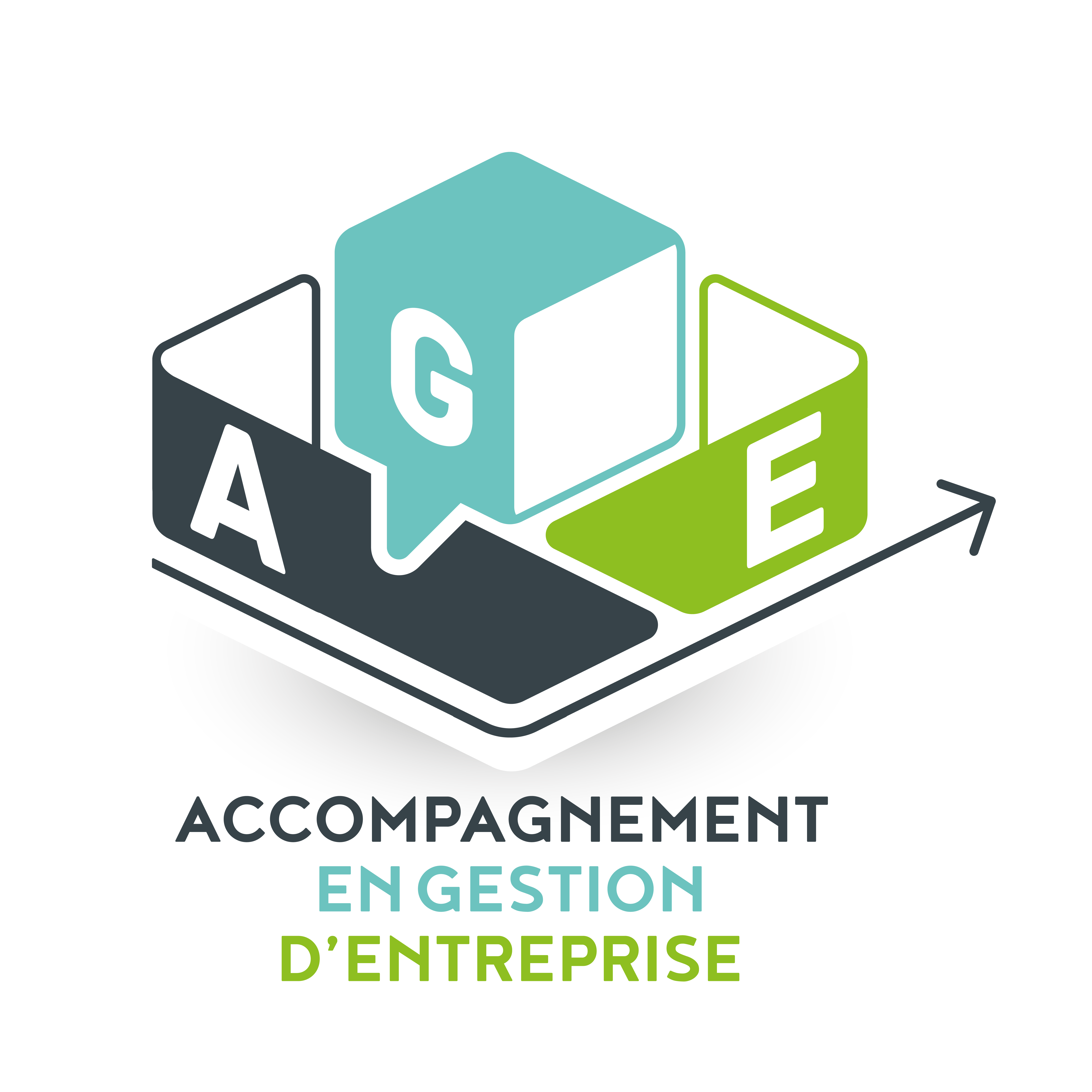 2016-Logo-A-G-E-fond-blanc
